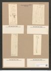 Pleurosigma acuminatum (Kuetz) Grun. (de-Toni-Nr.: Genus 13, Species 1075) Zeichnungen Sammlung Grunow Nr. 1944 (NHMW-BOT-W0369080)
